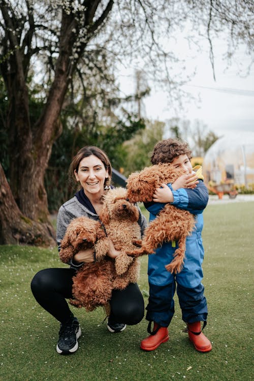 woman and a child holding three golden doodle puppies in a park