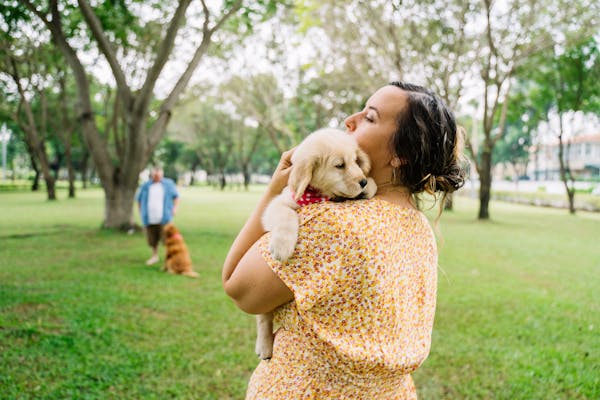 Positive Reinforcement: Building Trust and Communication with Your Puppy