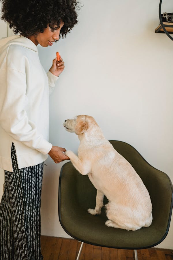 woman training her dog to give handshakes, using a carrot as a treat for positive reinforcement