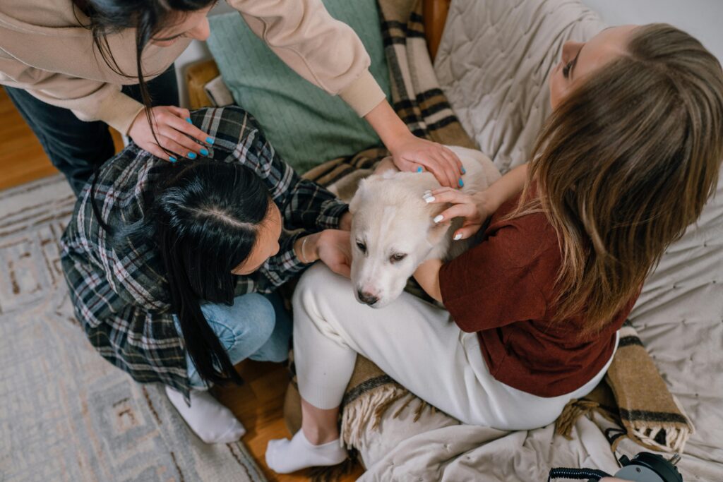group of people holding puppy, socialization