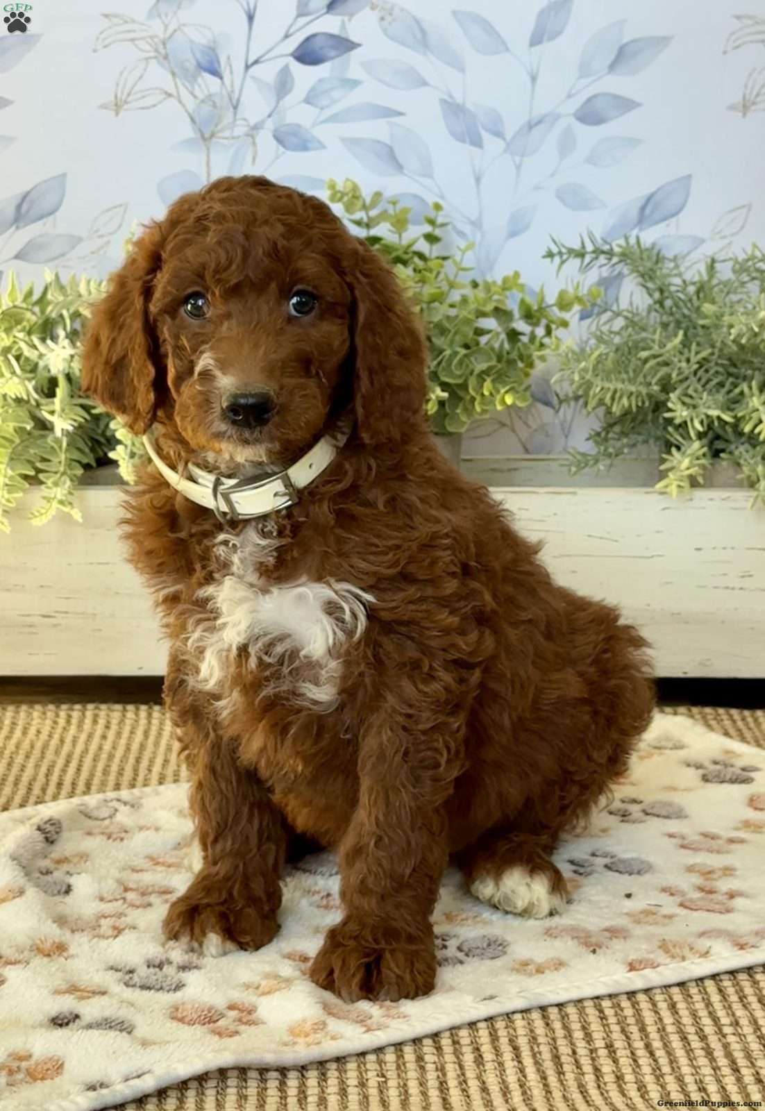 IMG_0352.jpeg1765320073-1102x1600