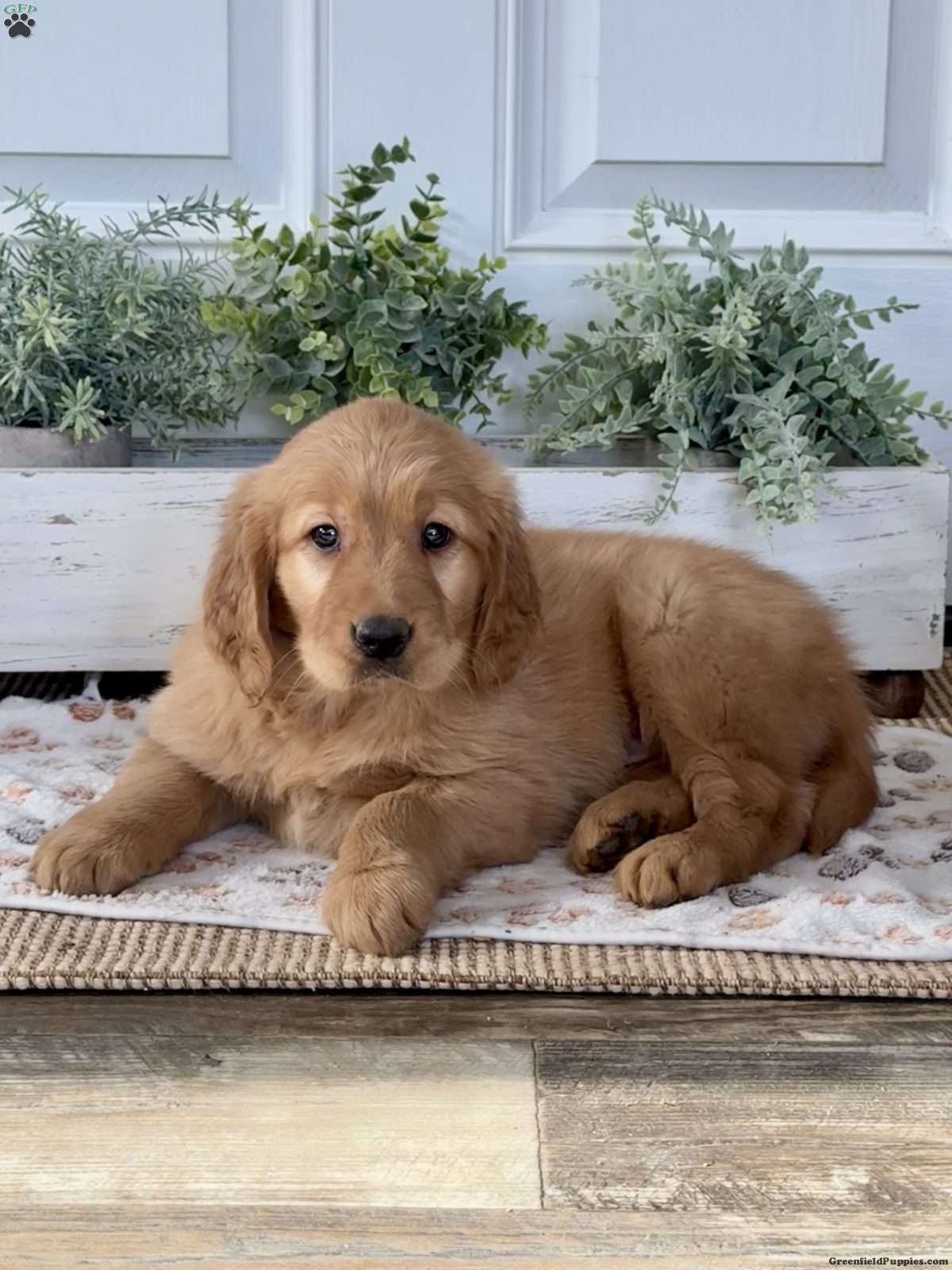 IMG_1076.jpeg1767710780-1200x1600