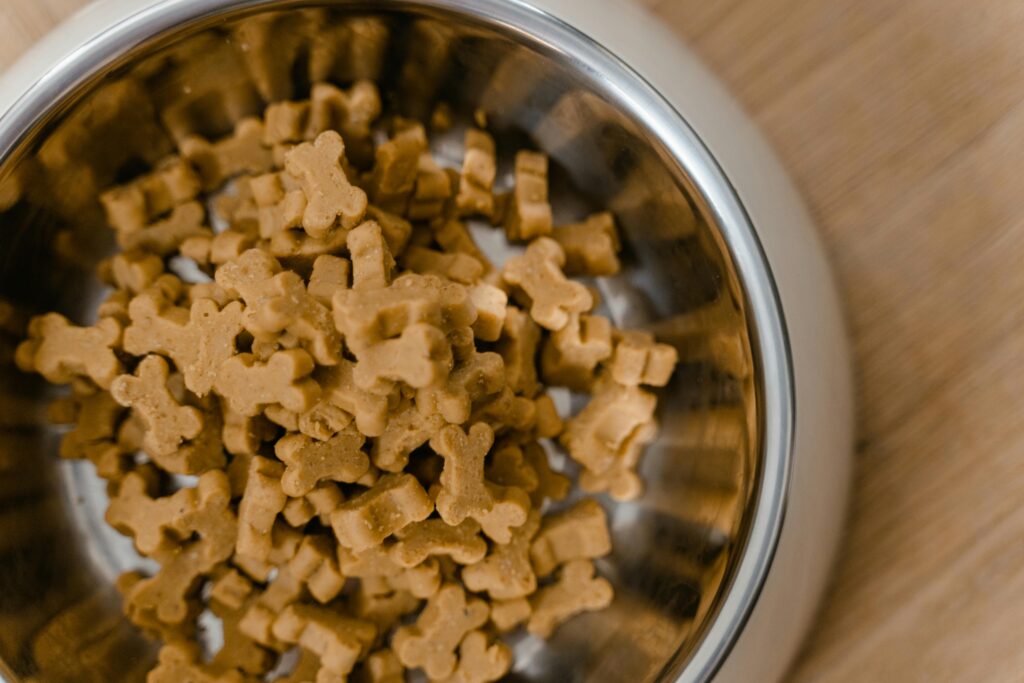puppy kibble in metal bowl